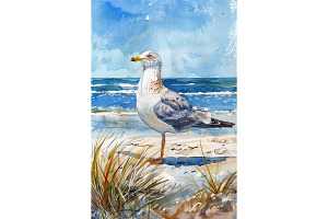 Watercolor of a Seagull on the Beach, an Animal Illustration by Art Paradise Studios