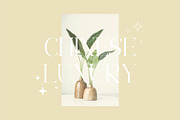 Fragier unique ligature serif font, a Serif Font by suhadidesign (Thumbnail 11 of 14)