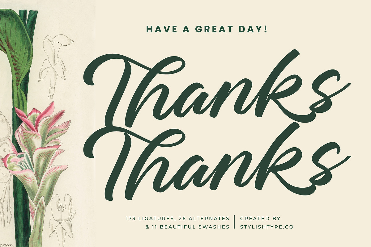 Charity Thomas Bold Calligraphy, a Script Font by stylishtype.co (Photo 20 of 20)