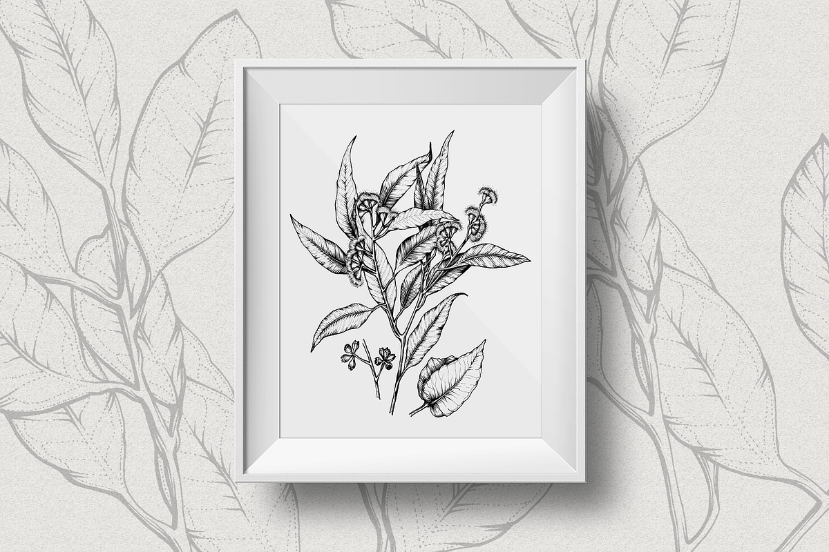 Eucalyptus Illustrations & Extras, an Illustration by Valeryia Aranovich (Photo 6 of 6)