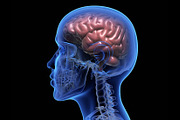 All about the mind, a School & Education Photo by iLexx (Thumbnail 4 of 4)