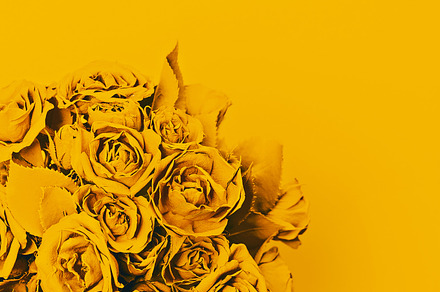Bouquet roses yellow paint., a Beauty & Fashion Photo by Jenya Porechenskaya