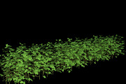 pack Nature, an Object Graphic by FlyOk (Thumbnail 1 of 9)