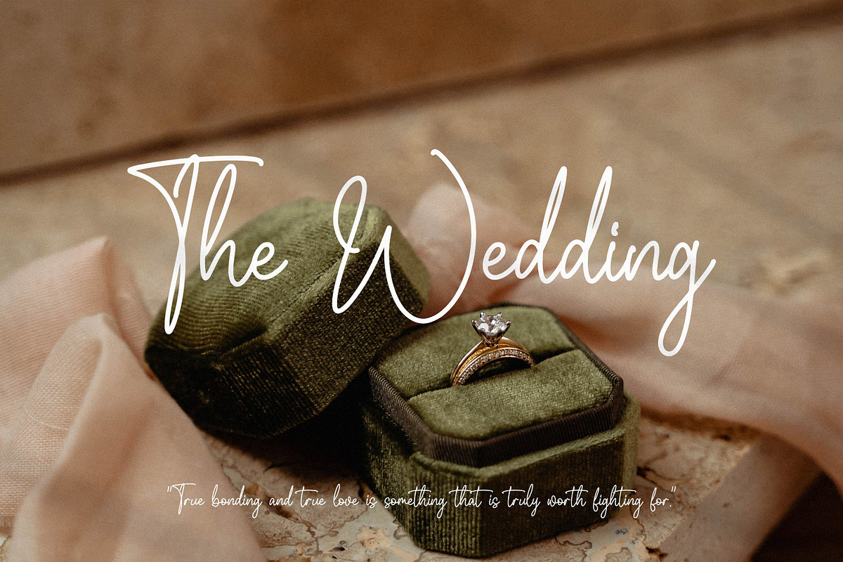 Whitteney, a Script Font by Integritype Studio (Photo 6 of 15)