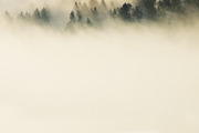 Foggy Mountain Slide Template, a Presentation Template by DesignedBetter (Thumbnail 3 of 7)