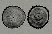 26 Large Tree Ring Textures, a Texture Graphic by Offset (Thumbnail 4 of 16)
