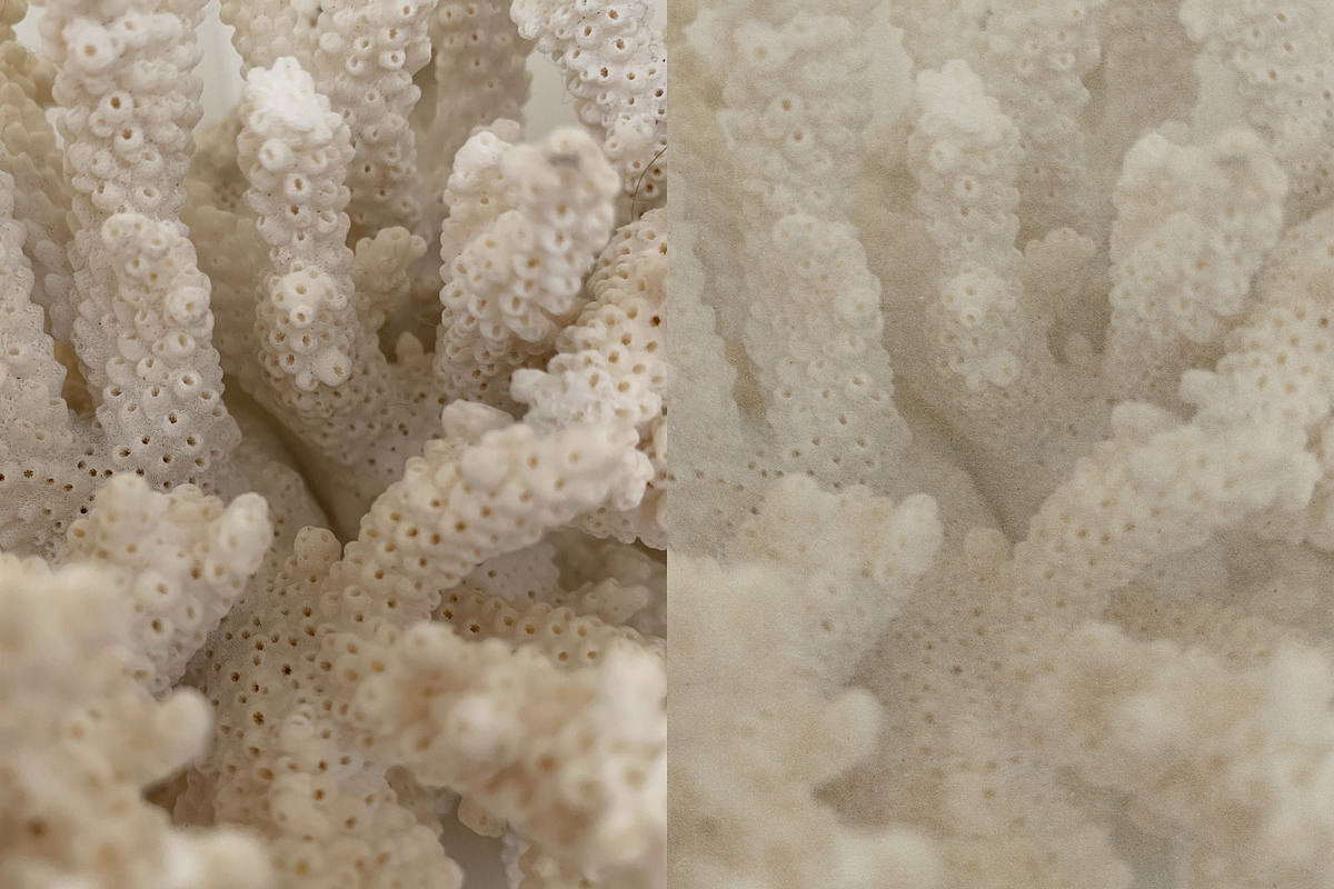Paper Texture Overlays | PNG, a Texture Graphic by Studio Viita (Photo 5 of 10)