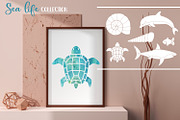 Sea life, an Animal Illustration by KlavaProDesign (Thumbnail 2 of 10)