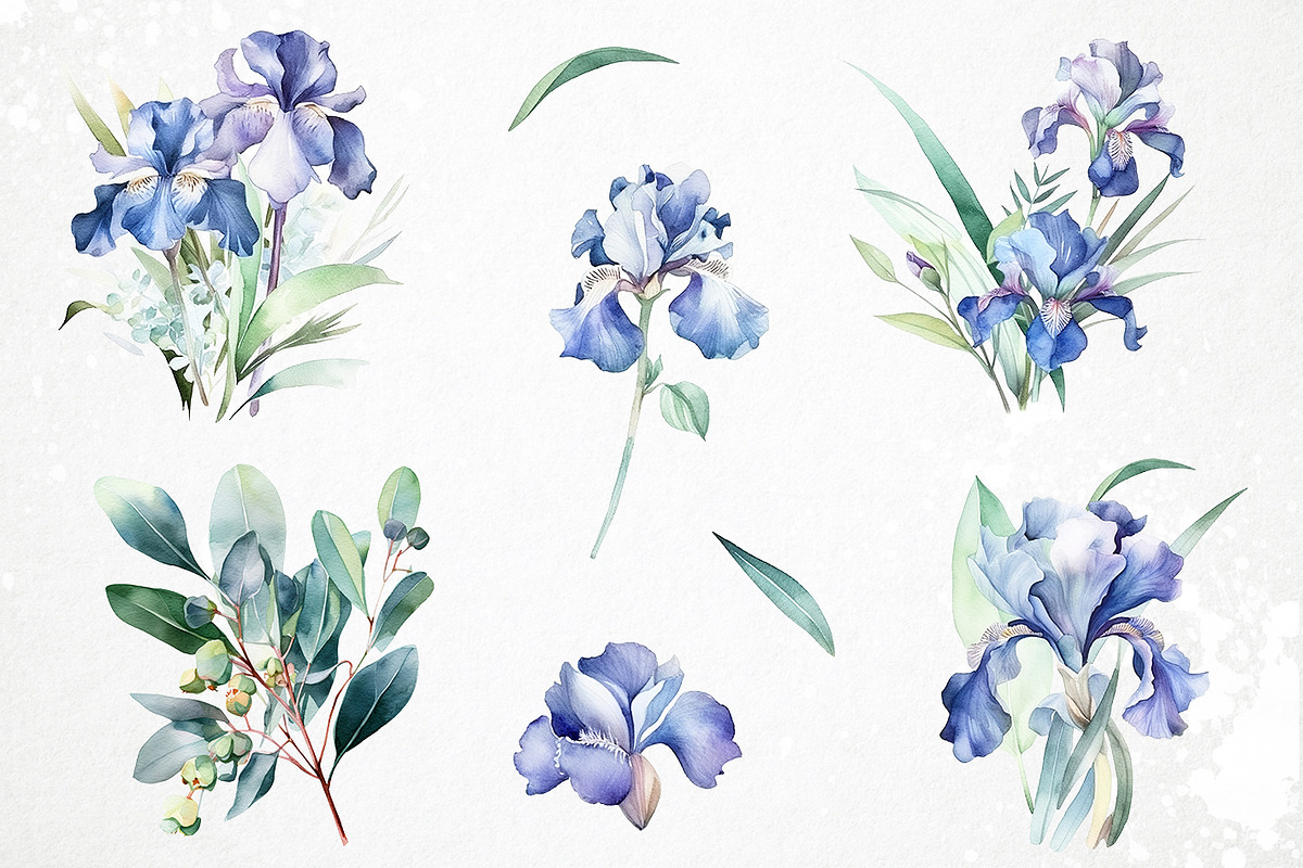 Watercolor iris PNG overlays, an Object Graphic by PixelJungle (Photo 3 of 3)