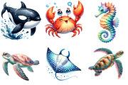 Watercolor Sea Animal Clipart, an Illustration by DreamArtGraphic (Thumbnail 2 of 5)