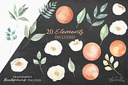 Orange Blossom 35 Watercolor Package, an Object Graphic by Bloomella (Thumbnail 6 of 6)