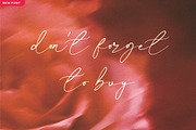 Dajestica Betamoora, a Script Font by JNJ Studio (Thumbnail 9 of 9)