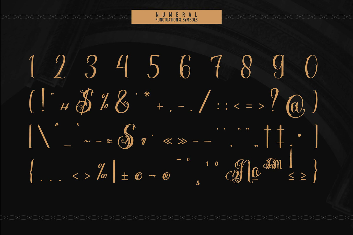Stejita | Tattoo Script Font, a Script Font by Denustudios (Photo 11 of 14)