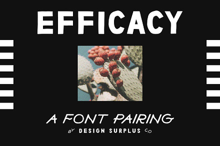 Efficacy Font Pairing + BONUS Logos