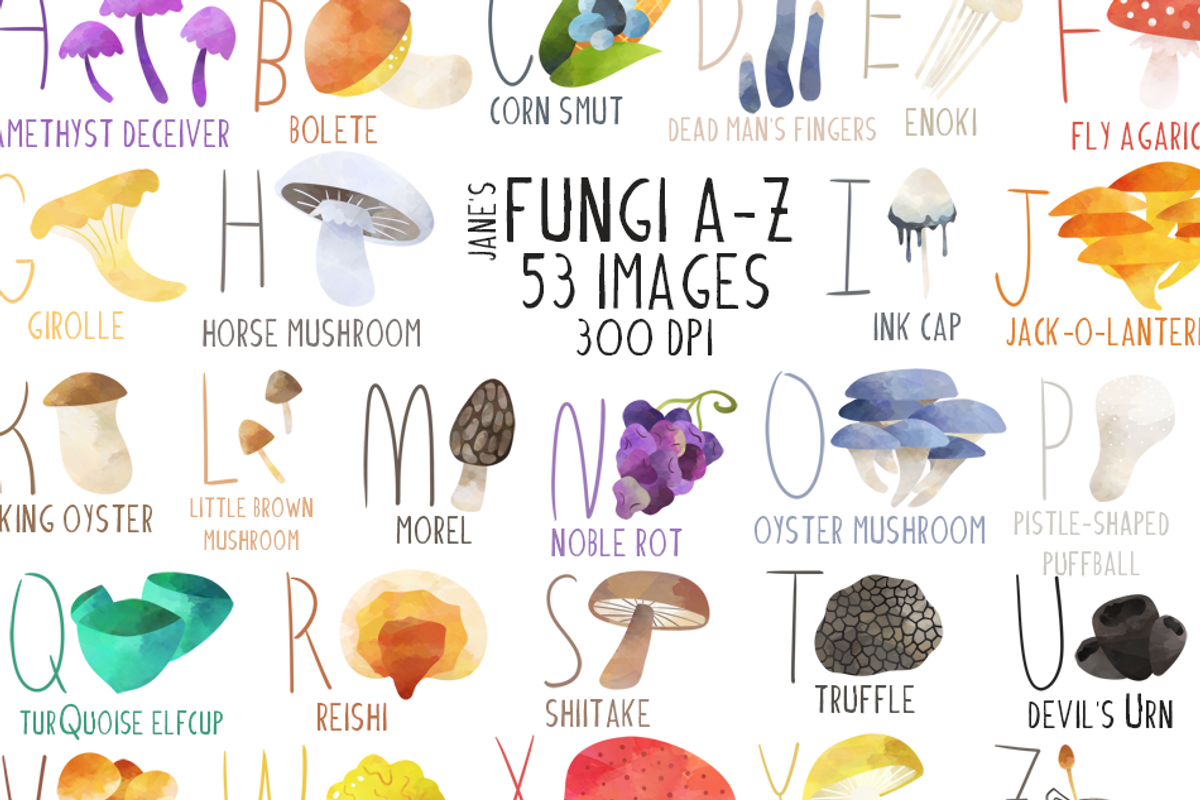 Watercolor Fungi A-Z Clipart, an Illustration by DigitalArtsi (Photo 1 of 4)
