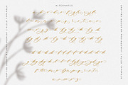 Klice | Elegant Script, a Script Font by Pentagonistudio (Thumbnail 9 of 10)