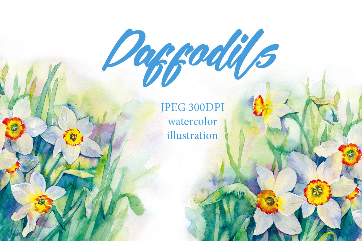 SALE! Watercolor daffodils flowers, a Decorative Illustration by MaryAmi (Photo 1 of 3)