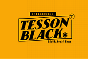 Tesson Black Serif, a Serif Font by INKsTYPIA (Thumbnail 1 of 10)