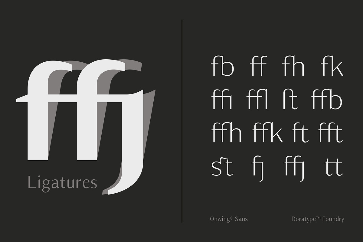 Owning Sans, a Sans Serif Font by Dora Typefoundry (Photo 8 of 10)