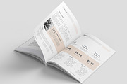 Business Proposal Template, Canva, a Brochure Template by Niofix (Thumbnail 3 of 6)