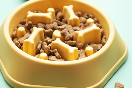 Yellow slow feeder bowl with dog kibble and toy, an Animal Photo by Olena Rudo