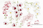 WATERCOLOR ORCHIDS, an Object Graphic by Knopazyzy (Thumbnail 17 of 18)