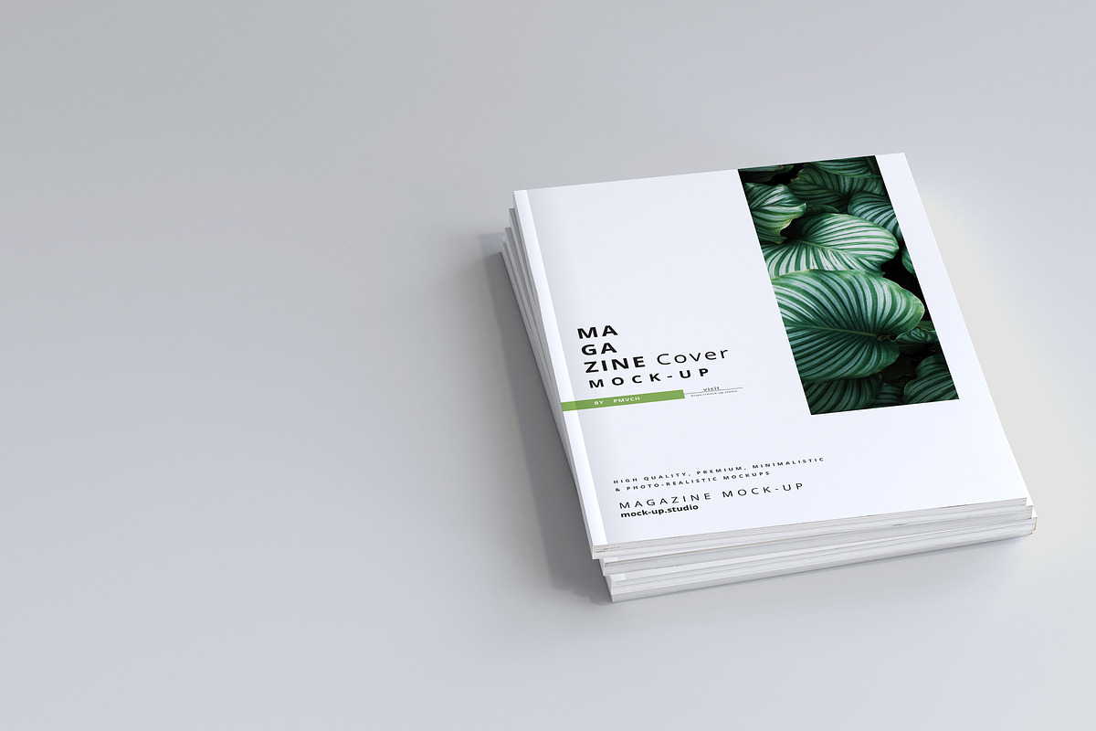 165 Brochure Mock-ups Big Bundle, a Print Template by pmvch (Photo 17 of 170)