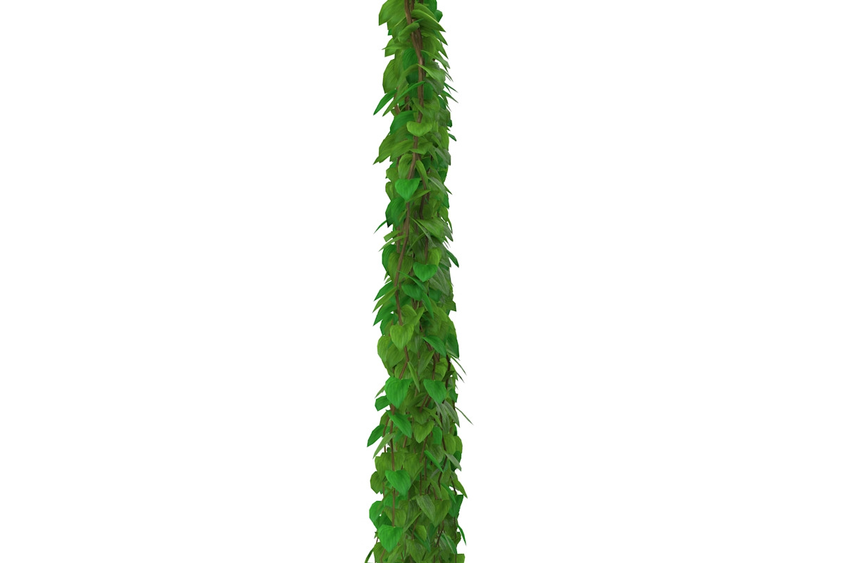 Wall of vines, an Environmental 3D Model by AndrewWhite (Photo 2 of 5)