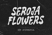 Seroja - Groovy Display Font, a Handwritten Font by Typeparties (Thumbnail 1 of 10)