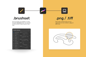 French Curves & Guides For Procreate