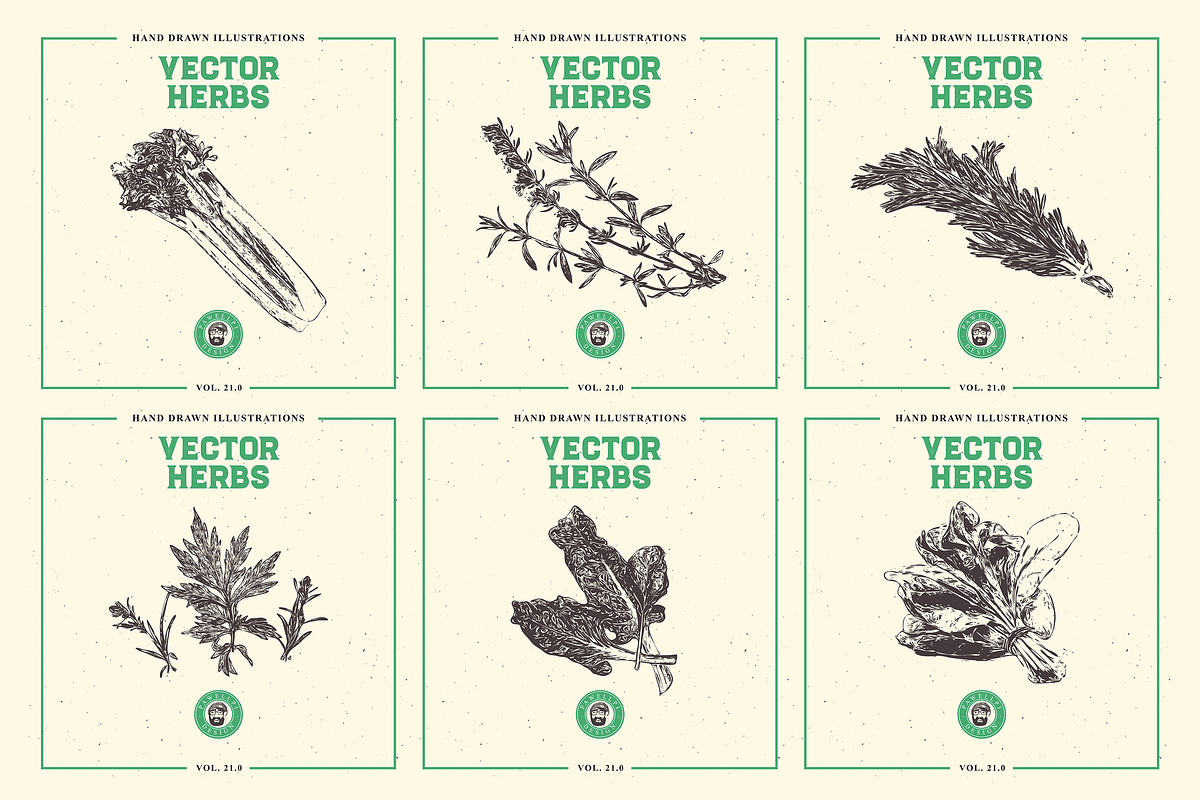 VECTOR HERBS HAND DRAWN BUNDLE v20, a Food Illustration by pawellpi (Photo 4 of 6)
