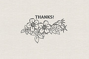 WILD ROSE lineart collection, a Decorative Illustration by heyXeni (Thumbnail 7 of 7)