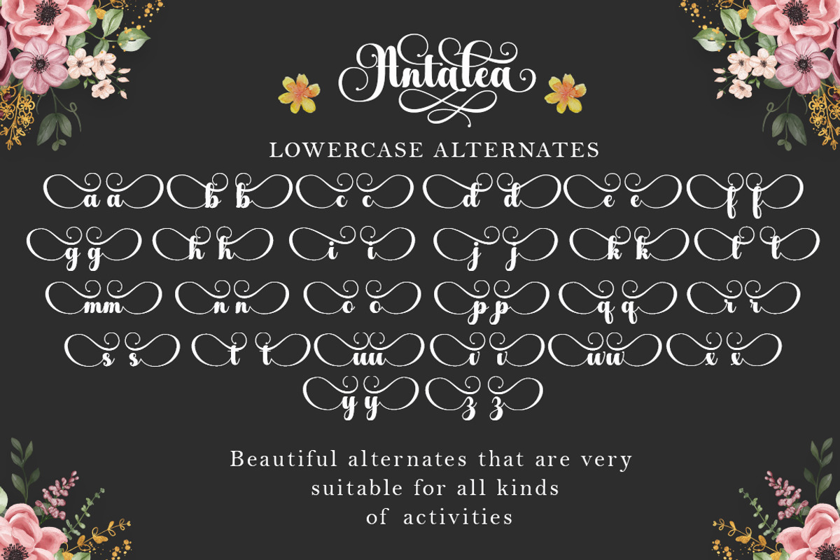 Antalea, a Script Font by IM Studio (Photo 9 of 12)