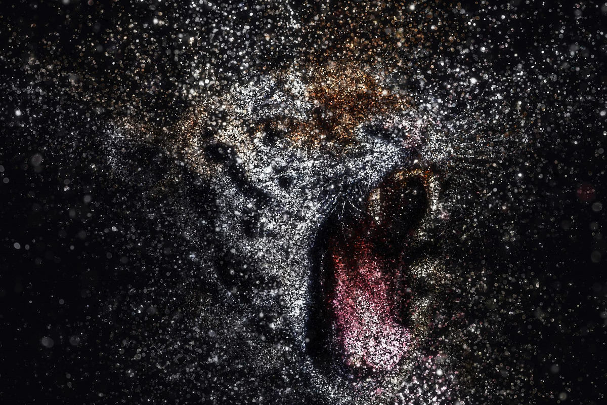 Glitterstorm Photoshop Action, an Action Add-On by Sevenstyles (Photo 21 of 23)