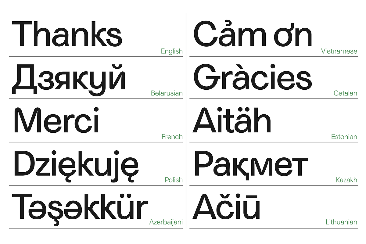 Niacin Quirky Fun Sans Variable Font, a Sans Serif Font by Sryga (Photo 10 of 10)