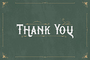 Wake Snake - Decorative Typeface, a Font by Typefactoryco (Thumbnail 10 of 10)