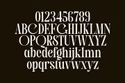 Folden - Serif Display Font, a Serif Font by Marvadesign (Thumbnail 4 of 11)