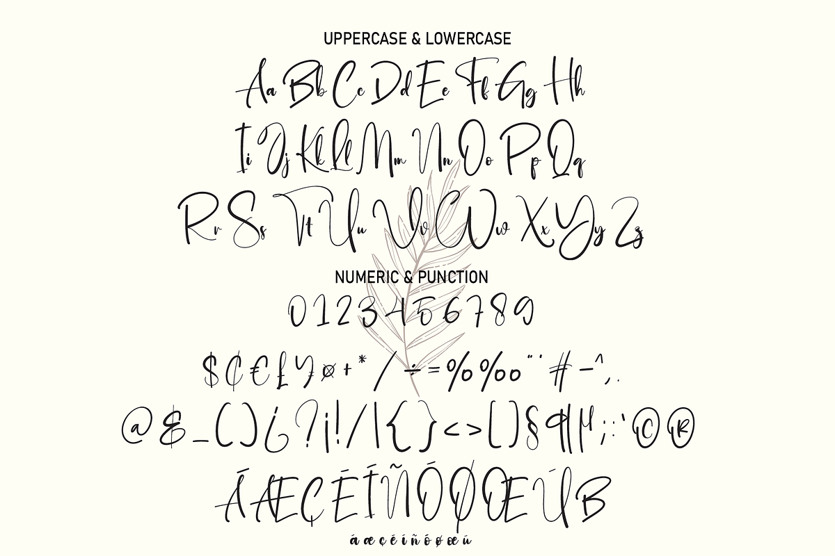 Astrography | Script Font, a Script Font by Scratchones (Photo 2 of 8)