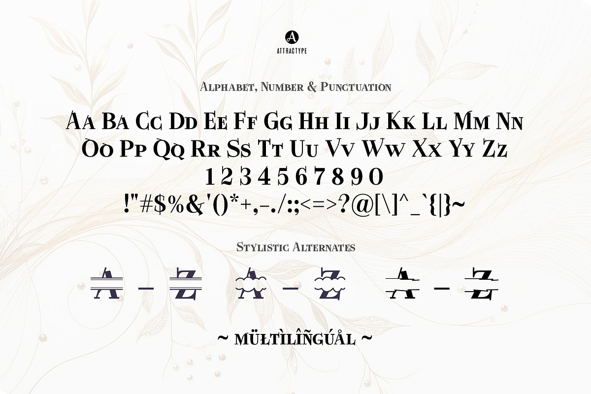 Smart Split - Bold Serif Smallcaps, a Serif Font by Attractype (Photo 7 of 7)