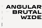 TT Autonomous, a Sans Serif Font by TypeType (Thumbnail 2 of 15)