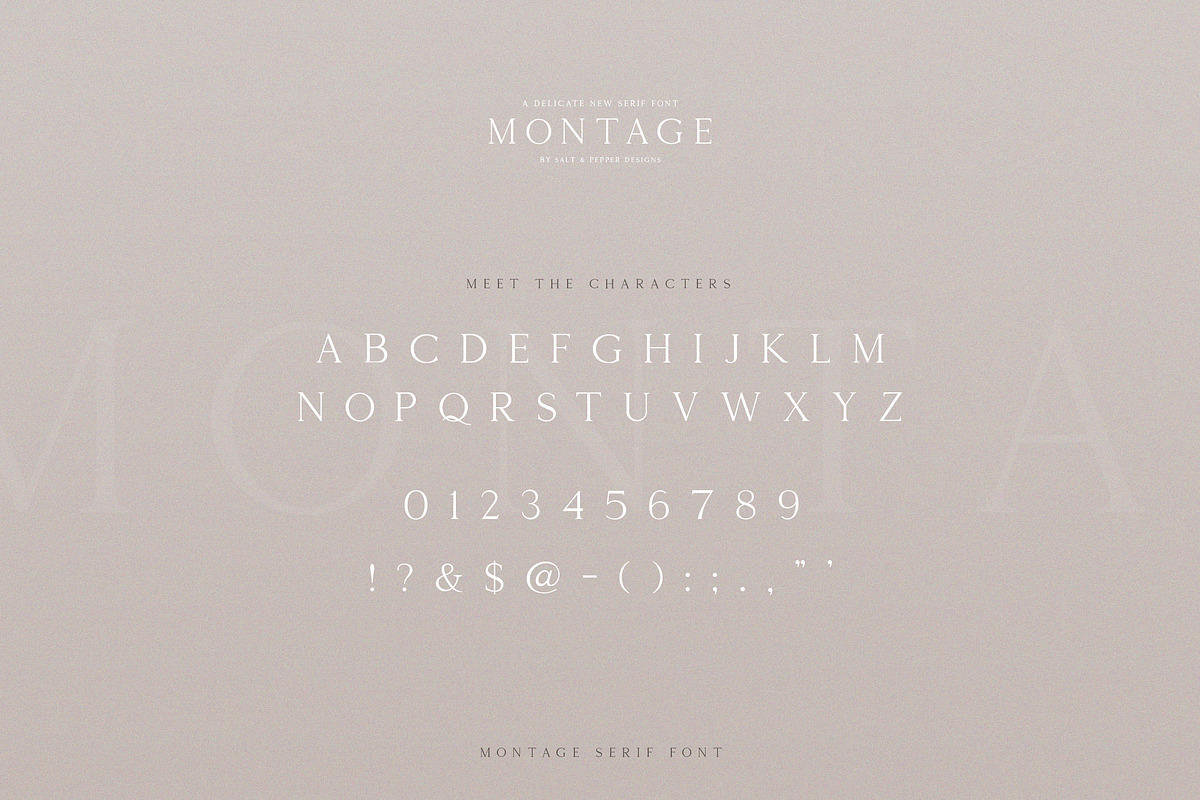 Montage Serif Font, a Serif Font by Salt & Pepper Designs (Photo 7 of 9)