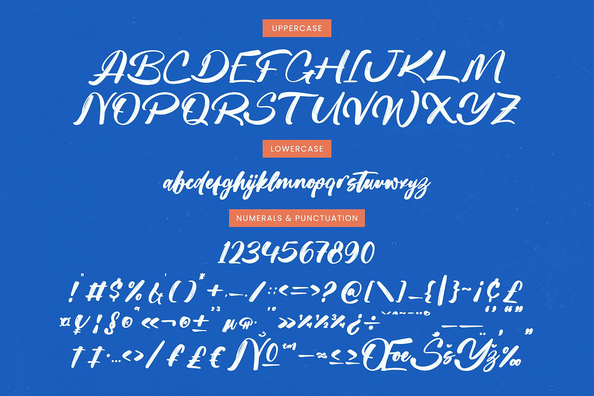 Sketch Checkin  Modern Brush Font, a Script Font by Letterena Studios Script (Photo 18 of 20)
