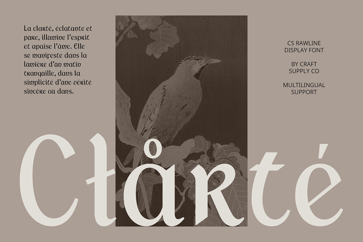 CS Rawline – Uncial Font, a Serif Font by Craft Supply Co. (Photo 6 of 8)