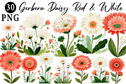 Gerbera Daisy Red & White Clipart, an Illustration by Daily.Designs (Thumbnail 1 of 5)