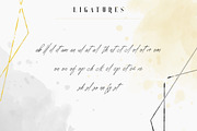 Sugar Spice - font duo + Extras, a Serif Font by VP Fonts (Thumbnail 13 of 20)