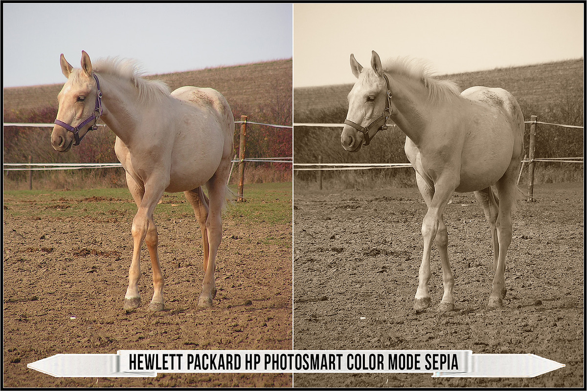Authentic Sepia LUTs - Version 2, a Plug-in Add-On by Raztrend (Photo 17 of 30)