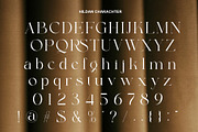 Hildan Modern Ligature Serif, a Serif Font by Alfinart (Thumbnail 6 of 10)