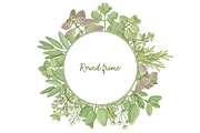 Kitchen herbs set, a Food Illustration by zmeizza (Thumbnail 6 of 7)