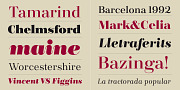 Bridone, a Serif Font by Tipo Pépel (Thumbnail 3 of 7)