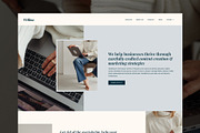Willow WordPress Elementor Template, a WordPress Template by Studio Soleil (Thumbnail 1 of 6)
